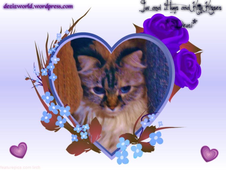 0Dezi kitty kisses hearts