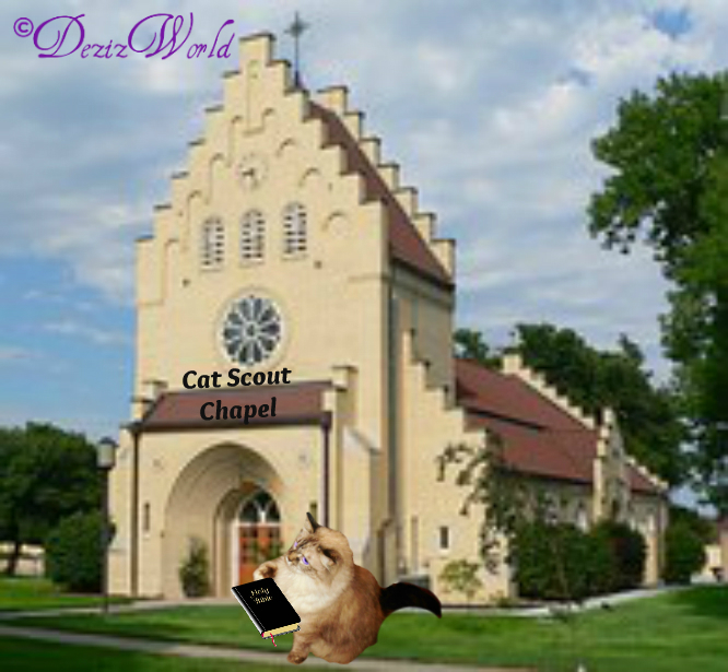 #Dezi the #CatScout #Chaplain with #Bible in front of church