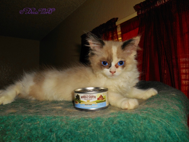 Raena with can of Whole Earth Farms cat food