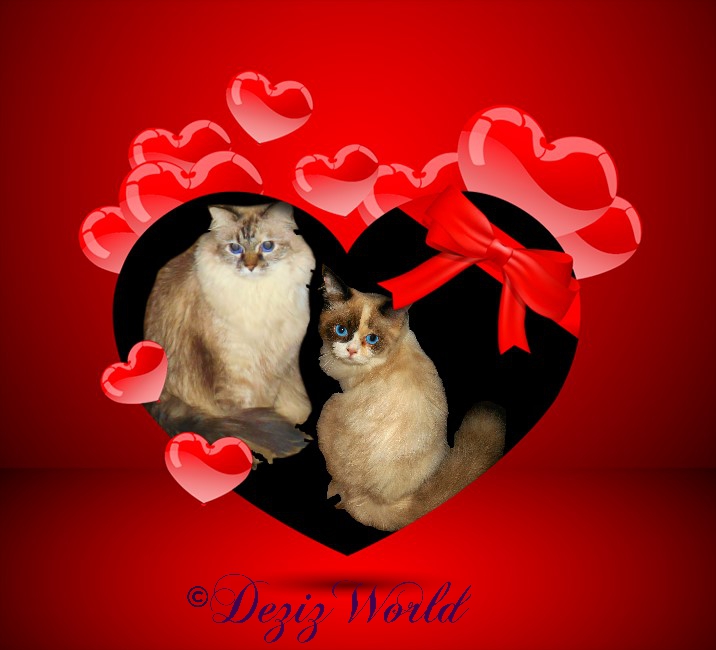 Dezi and Raena in a red gift heart frame