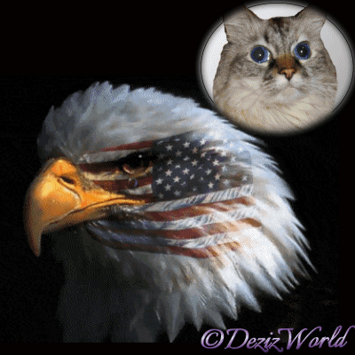 Dezi in an oval frame with a crying American eagle and flag