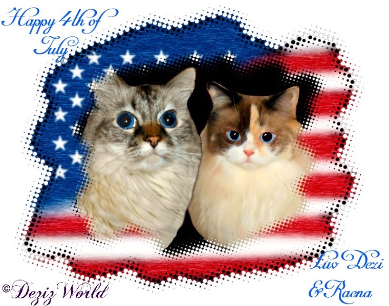 Dezi and Raena in the US flag wishing a Happy 4th