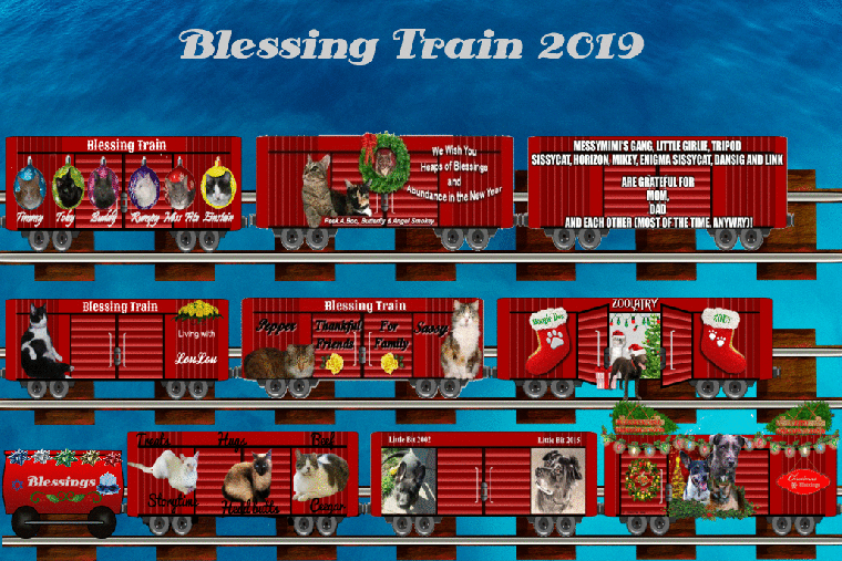 Blessing Train boxcars 2 wk 4