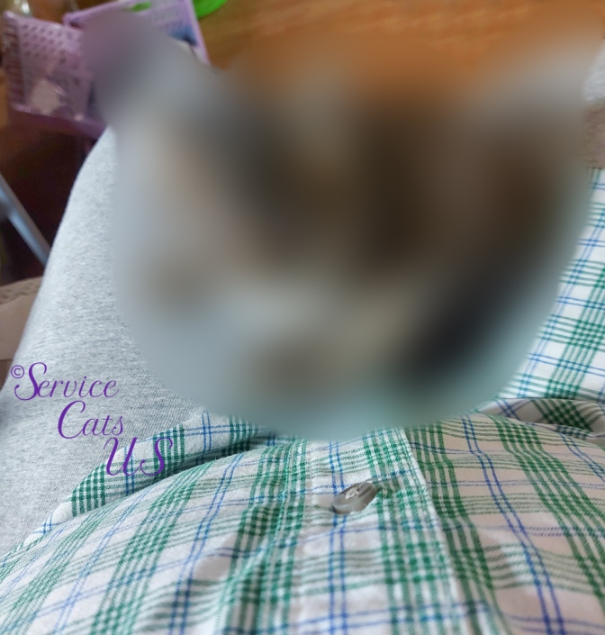 Surprise blur in lap
