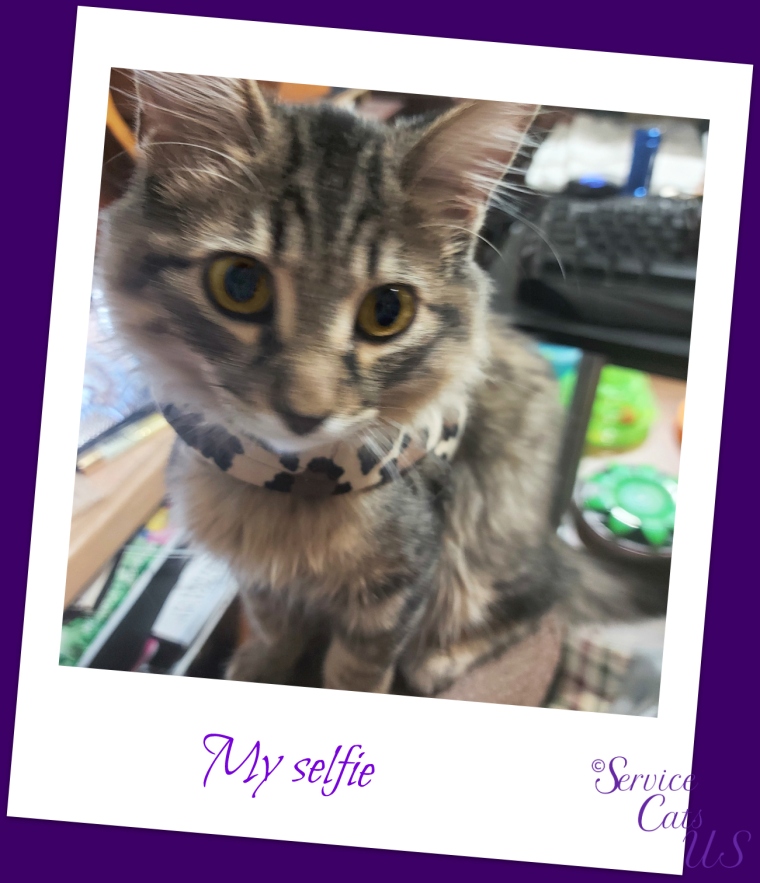 Zebby's polaroid selfie